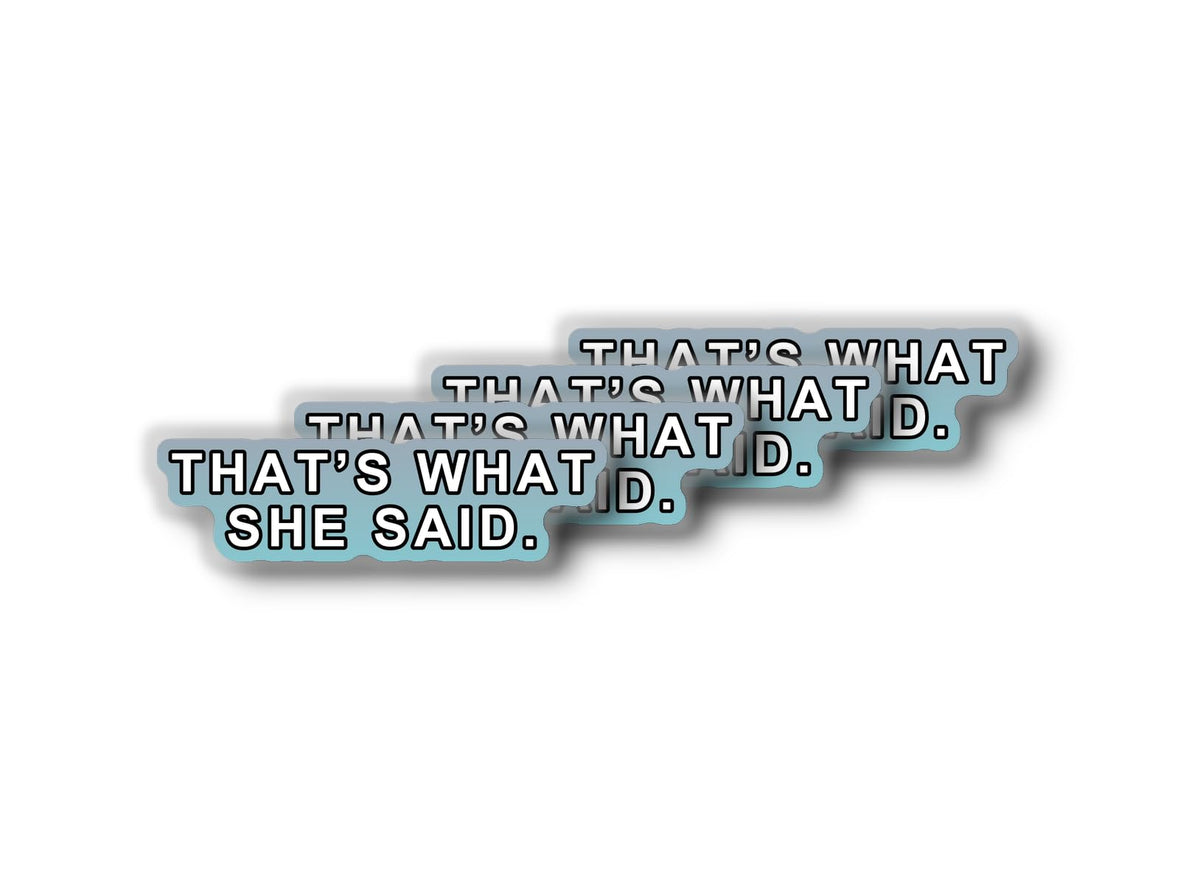 That's What SHE Said. Sticker | Funny Quote Decal | Humor Vinyl | Office Decor | Gift for Friends | Car Decoration [Said]