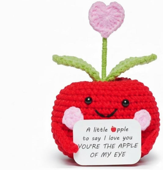 Lenoka Crochet/Valentines Day Gifts for Him Her/Handmade Crochet Apple Wedding Anniversary Birthday Gift for Boyfriend Girlfriend Wife Husband/Romantic Gift for Women Men Couple