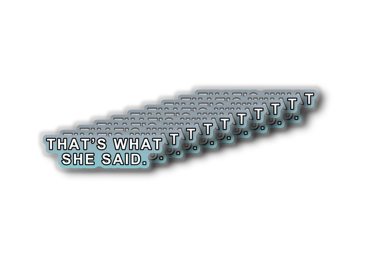 That's What SHE Said. Sticker | Funny Quote Decal | Humor Vinyl | Office Decor | Gift for Friends | Car Decoration [Said]