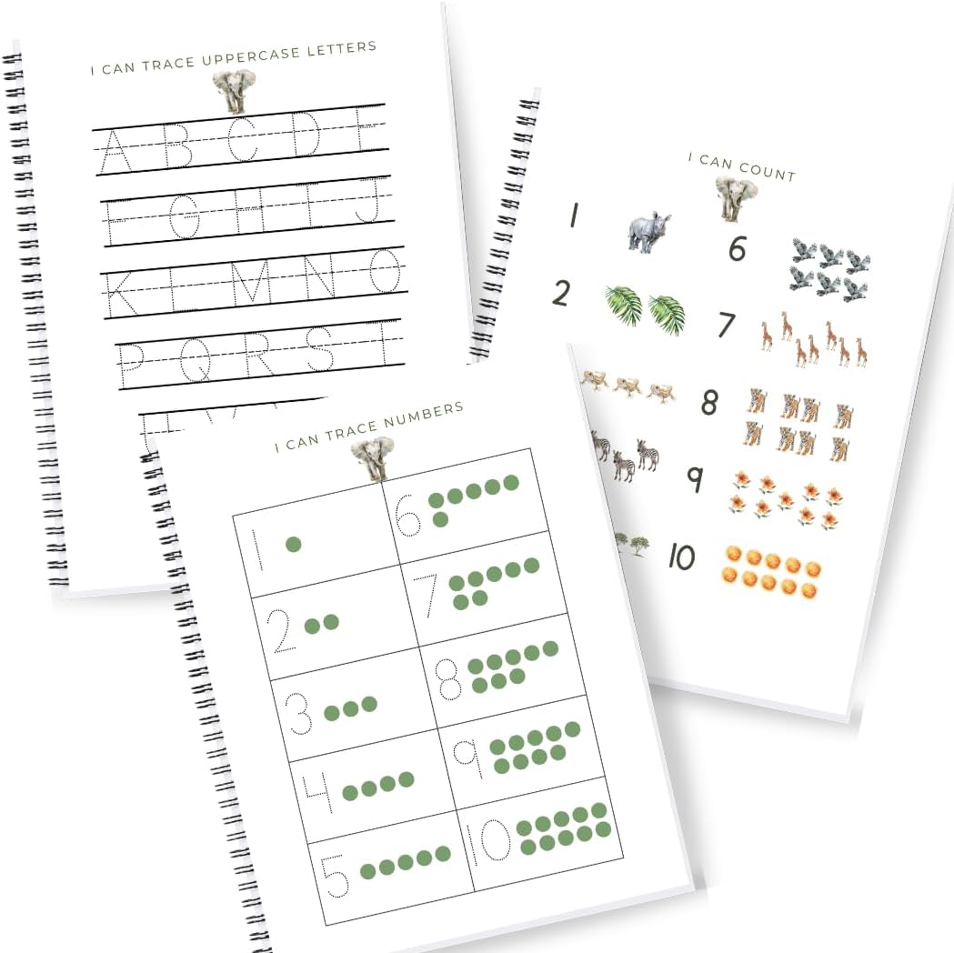 Personalized Preschool Reusable Workbook: Little Learning Book (Animals)