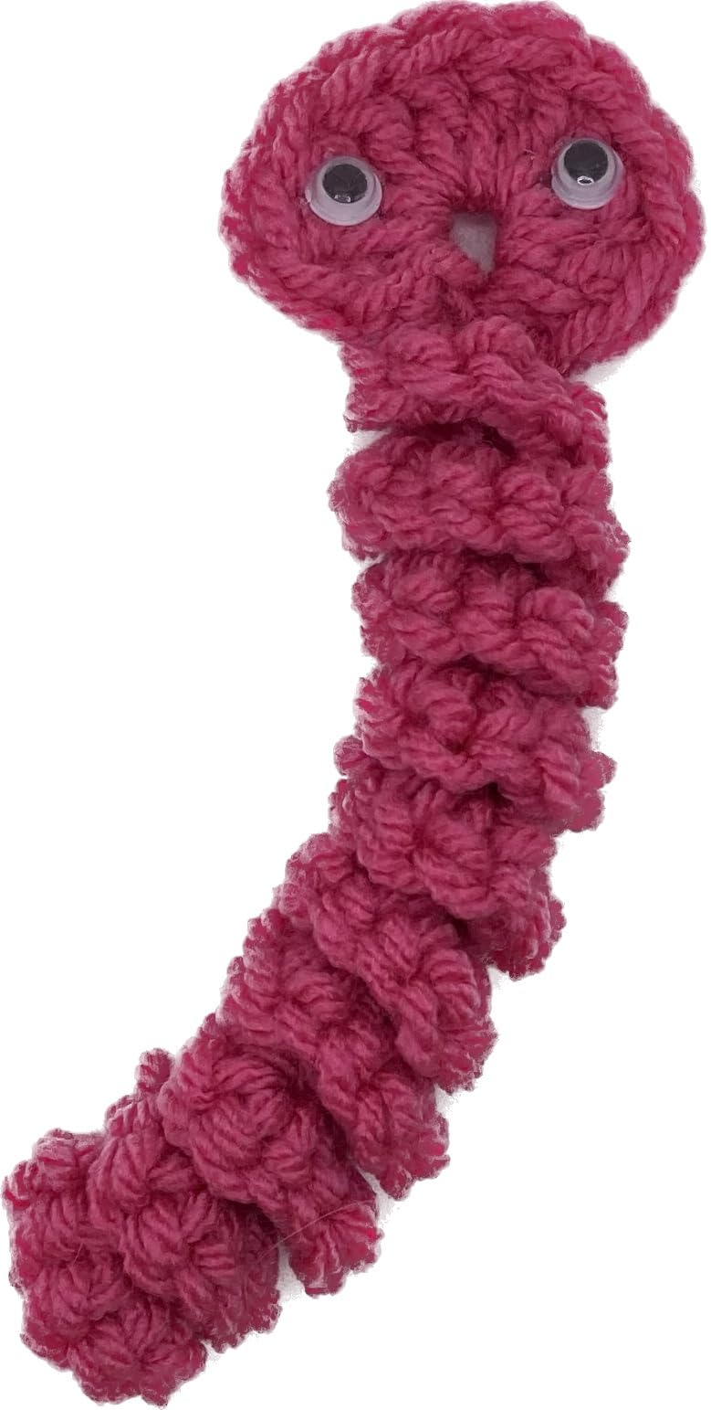 Worry Worm that Cares for You 3-Pack, Or As A Gift for Someone Special! (Juicy)