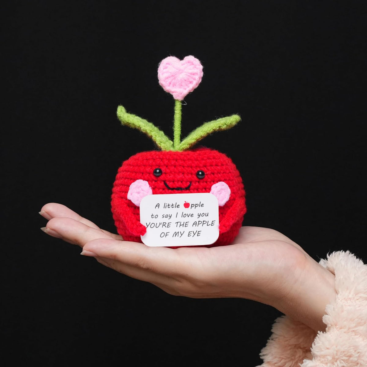 Lenoka Crochet/Valentines Day Gifts for Him Her/Handmade Crochet Apple Wedding Anniversary Birthday Gift for Boyfriend Girlfriend Wife Husband/Romantic Gift for Women Men Couple