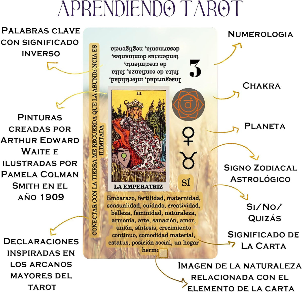 Witchy Cauldron Tarot Learning Kit in Spanish – Cartas de Tarot para Principiantes – Includes Spanish Deck, Journal, Wrap, Stickers – Ideal for Beginners and Enthusiasts (Azul)