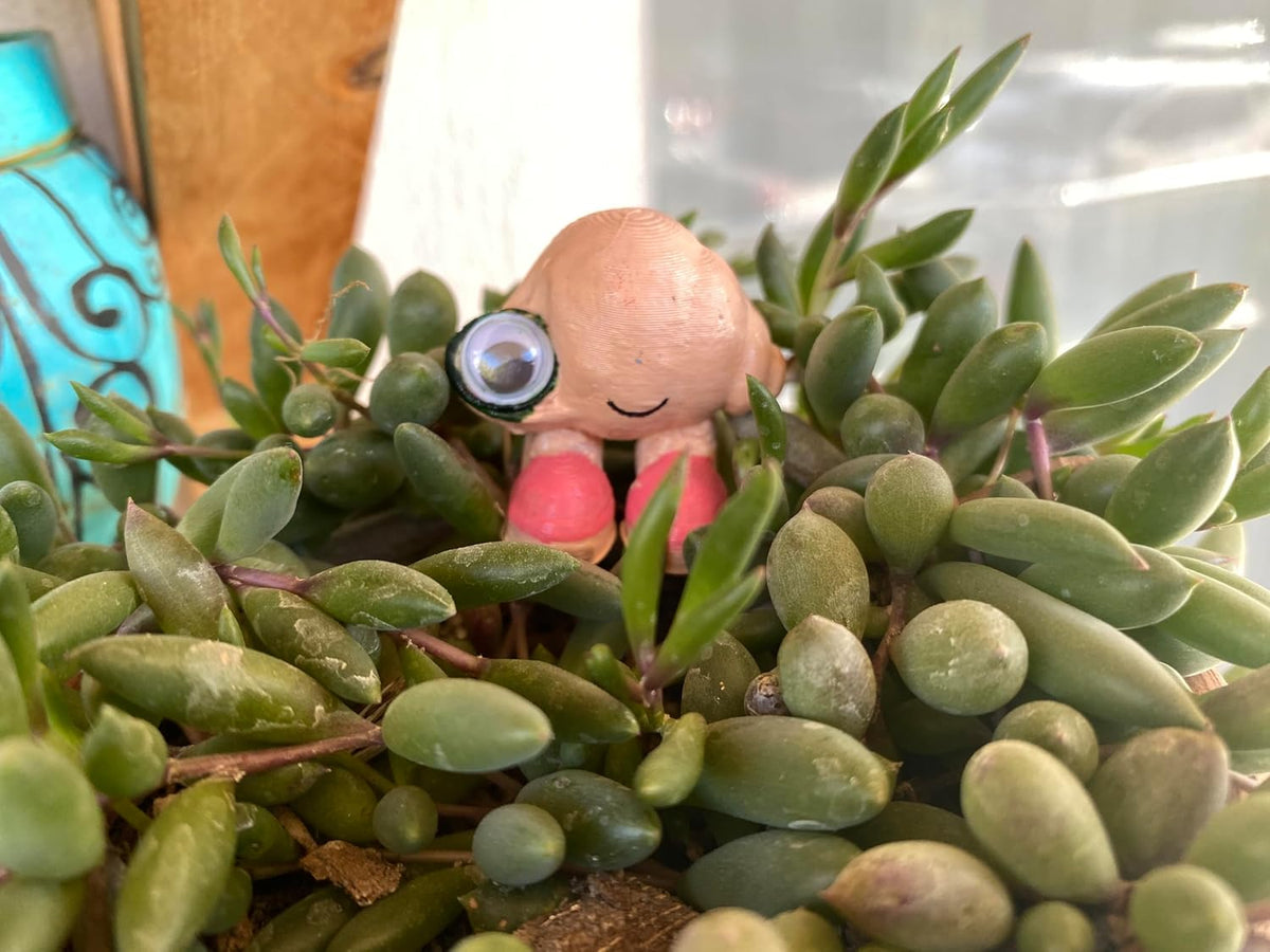 A24 Marcel the Shell with Shoes On - Life Size Figure, Hand Painted 3D Print PLA Plastic